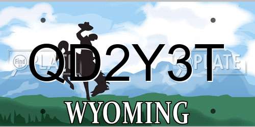 QD2Y3T Wyoming License Plate