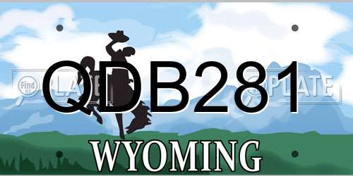 QDB281 Wyoming License Plate