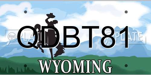 QDBT81 Wyoming License Plate