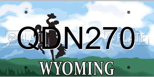 QDN270 Wyoming License Plate
