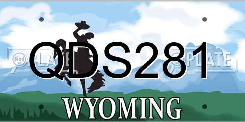 QDS281 Wyoming License Plate