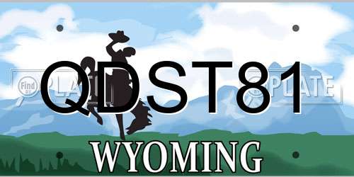 QDST81 Wyoming License Plate