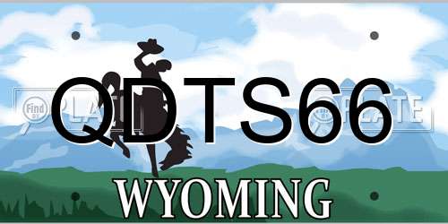 QDTS66 Wyoming License Plate