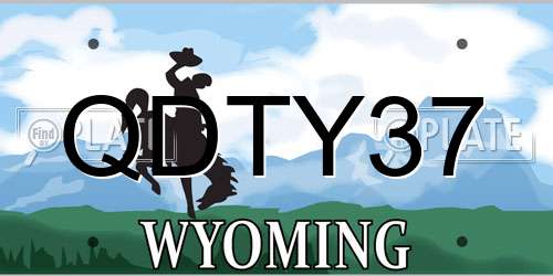 QDTY37 Wyoming License Plate