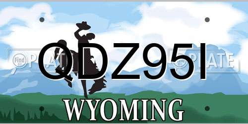 QDZ95I Wyoming License Plate