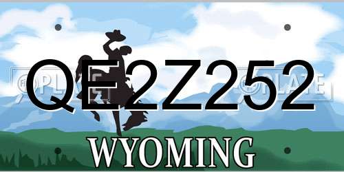 QE2Z252 Wyoming License Plate