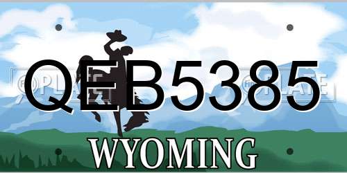 QEB5385 Wyoming License Plate