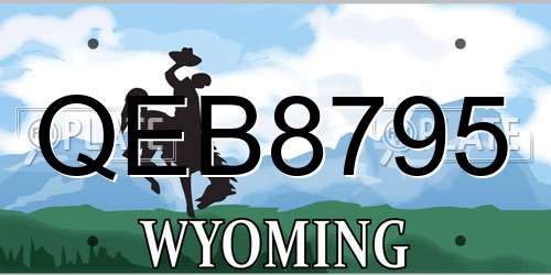 QEB8795 Wyoming License Plate