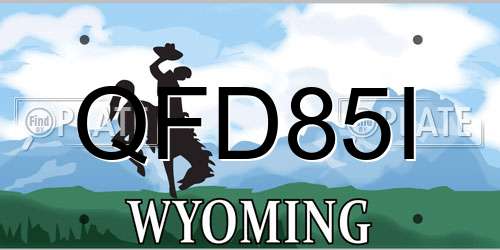 QFD85I Wyoming License Plate