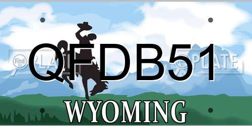 QFDB51 Wyoming License Plate