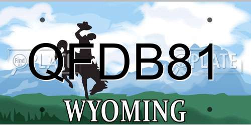 QFDB81 Wyoming License Plate