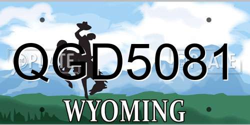 QGD5081 Wyoming License Plate