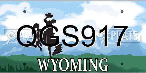 QGS917 Wyoming License Plate