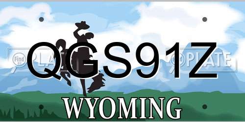 QGS91Z Wyoming License Plate