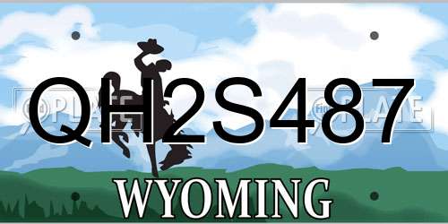 QH2S487 Wyoming License Plate