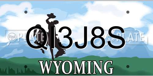 QI3J8S Wyoming License Plate