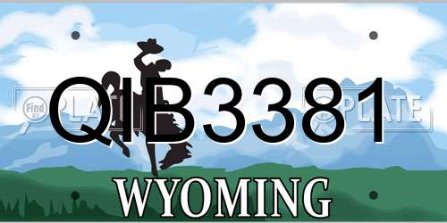 QIB3381 Wyoming License Plate