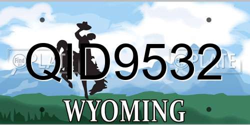 QID9532 Wyoming License Plate