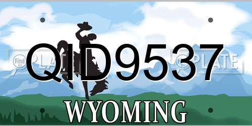 QID9537 Wyoming License Plate