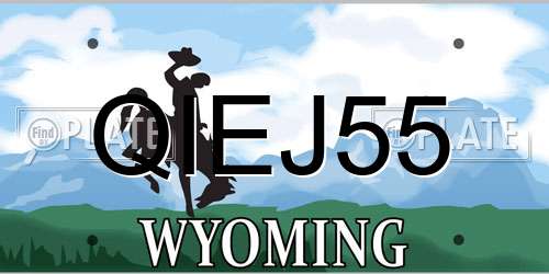 QIEJ55 Wyoming License Plate