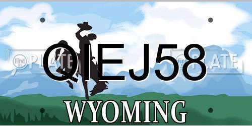 QIEJ58 Wyoming License Plate