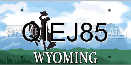 QIEJ85 Wyoming License Plate