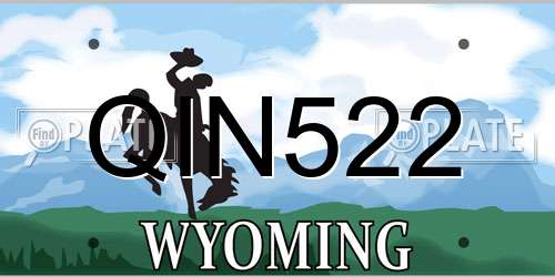 QIN522 Wyoming License Plate