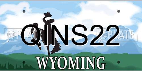 QINS22 Wyoming License Plate