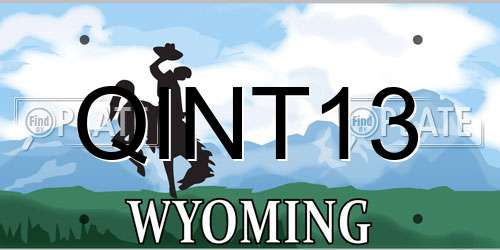 QINT13 Wyoming License Plate