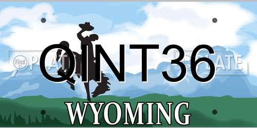 QINT36 Wyoming License Plate