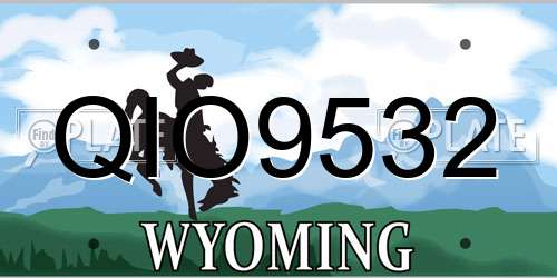 QIO9532 Wyoming License Plate