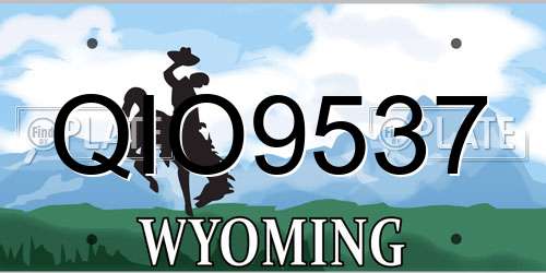 QIO9537 Wyoming License Plate