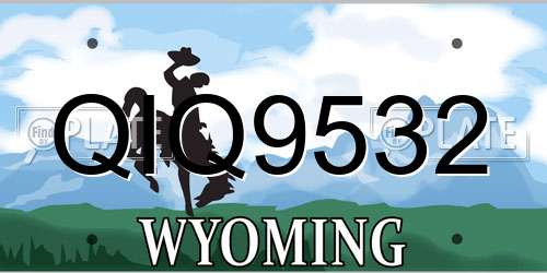 QIQ9532 Wyoming License Plate