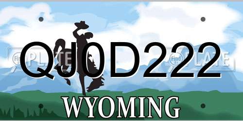 QJ0D222 Wyoming License Plate