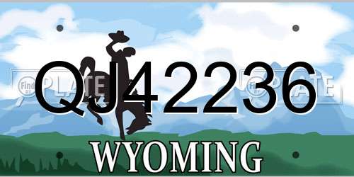 QJ42236 Wyoming License Plate