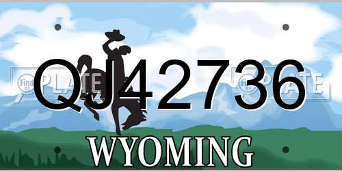 QJ42736 Wyoming License Plate