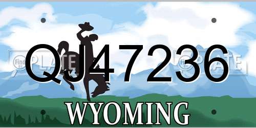 QJ47236 Wyoming License Plate