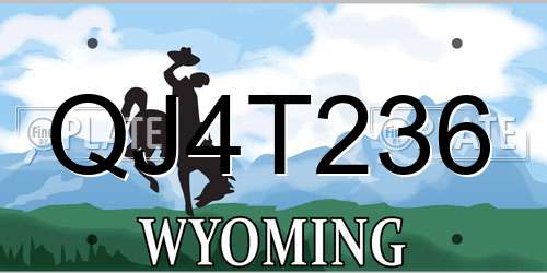 QJ4T236 Wyoming License Plate