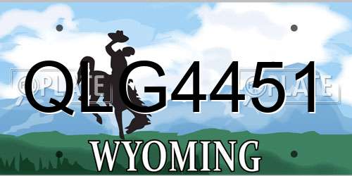 QLG4451 Wyoming License Plate