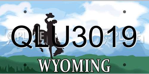 QLU3019 Wyoming License Plate