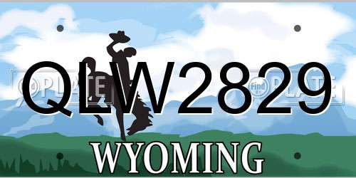 QLW2829 Wyoming License Plate
