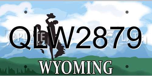 QLW2879 Wyoming License Plate