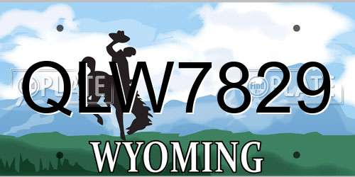 QLW7829 Wyoming License Plate