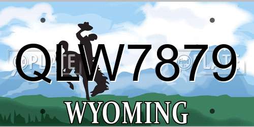 QLW7879 Wyoming License Plate