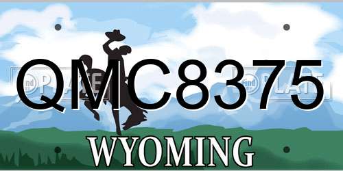QMC8375 Wyoming License Plate