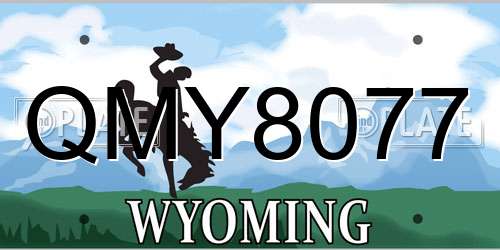 QMY8077 Wyoming License Plate