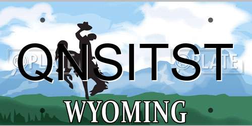 QNSITST Wyoming License Plate