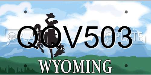 QQV503 Wyoming License Plate