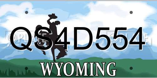 QS4D554 Wyoming License Plate