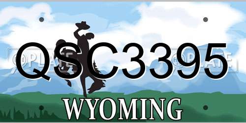QSC3395 Wyoming License Plate